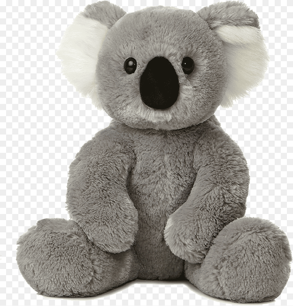 Koala Bear, Teddy Bear, Toy Png Image