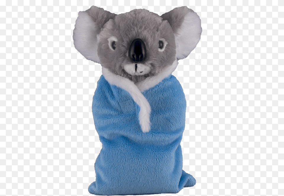 Koala Bear Sleeping Bag, Teddy Bear, Toy Png Image