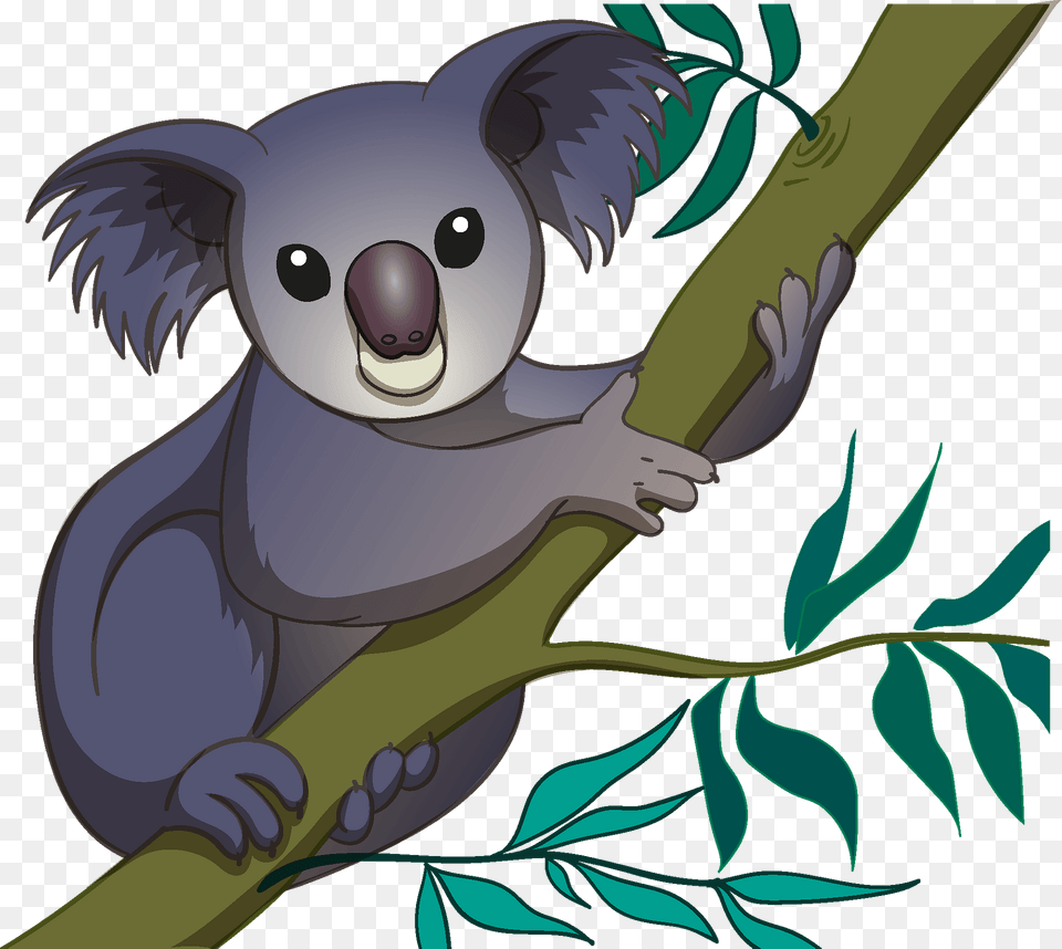 Koala Clipart, Animal, Mammal, Wildlife, Fish Png