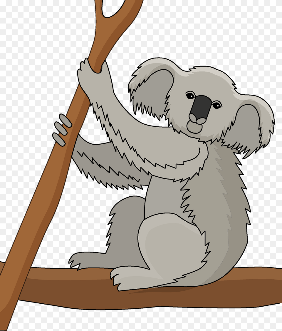 Koala Clipart, Animal, Wildlife, Mammal, Fish Free Transparent Png