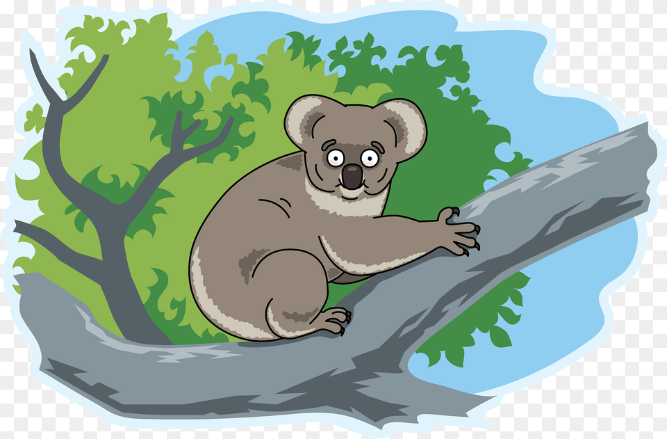 Koala Clipart, Animal, Wildlife, Bear, Mammal Free Png