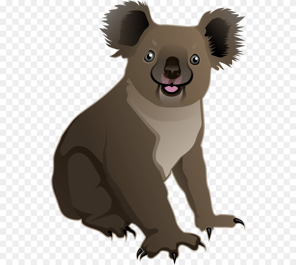 Koala Clipart Animated Transparent Free For Transparent Background Koala Clipart, Animal, Wildlife, Mammal, Kangaroo Png