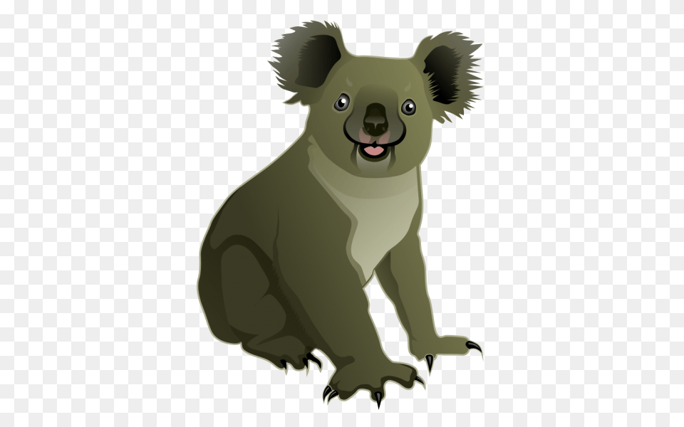 Koala Clipart Nice Clip Art, Animal, Bear, Mammal, Wildlife Free Png