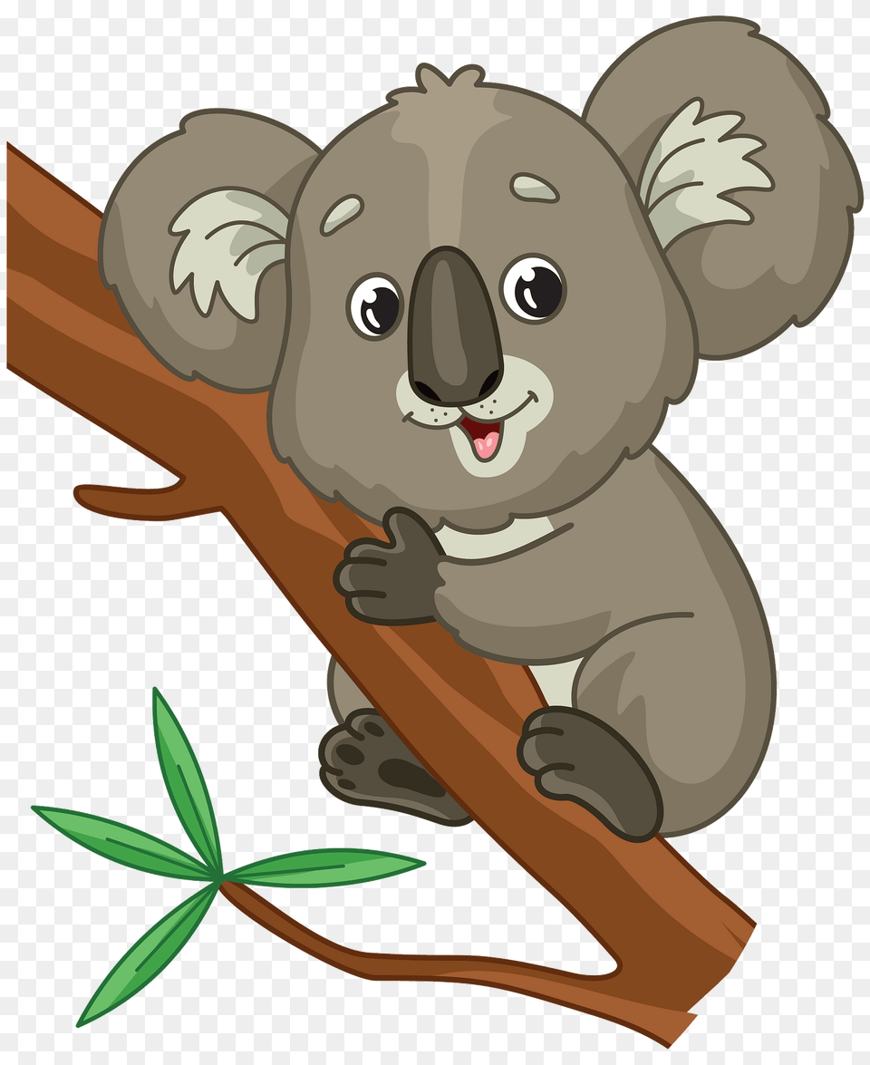 Koala Hugging A Branch Clipart, Animal, Wildlife, Mammal, Face Png Image