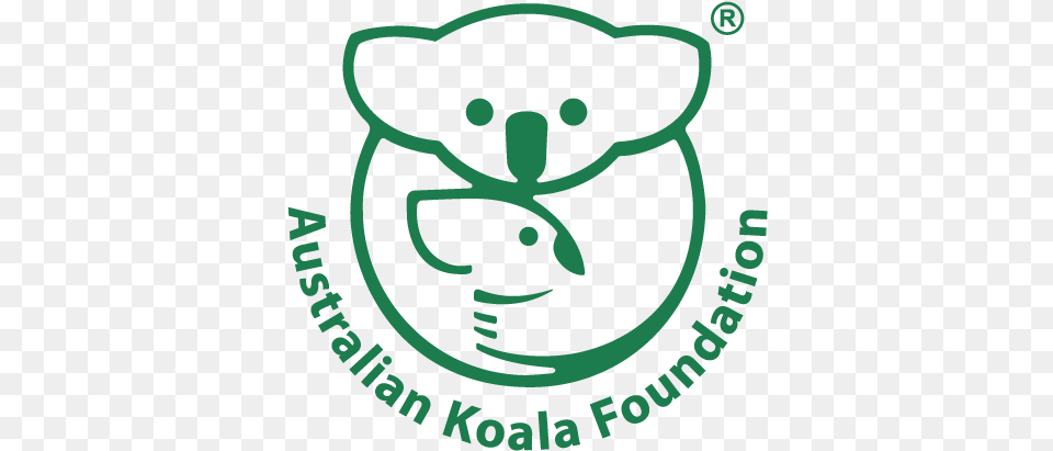 Koala Save The Koala Foundation, Animal, Mammal, Wildlife, Baby Free Png