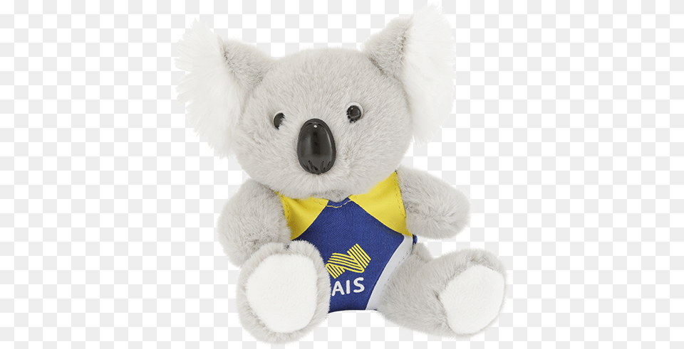Koala Swimmer Advanced Info Service, Teddy Bear, Toy, Plush Free Png Download