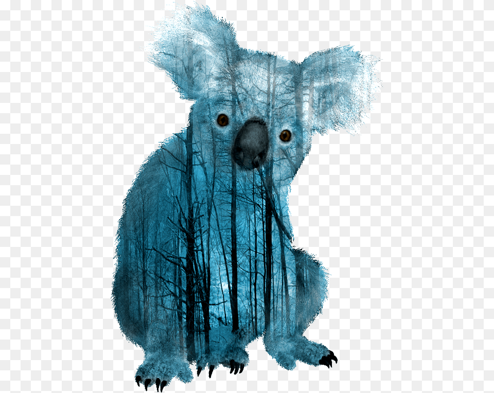 Koalas Clipart Background Koala, Animal, Wildlife, Mammal, Bird Free Png