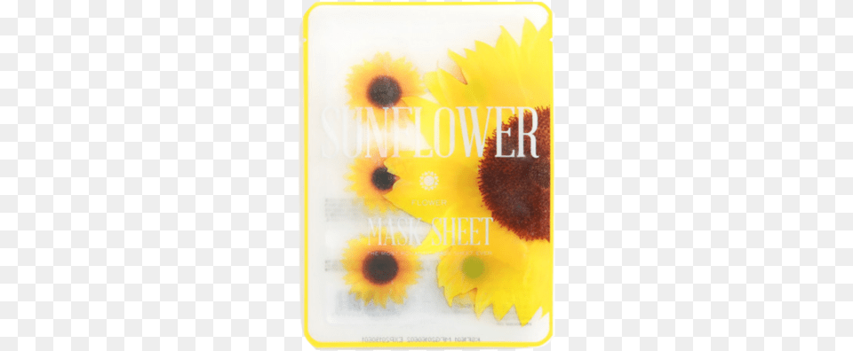 Kocostar Sunflower Slice Mask Sheet Skin Mask Kocostar Sunflower Mask Sheet, Flower, Plant, Publication, Book Free Png