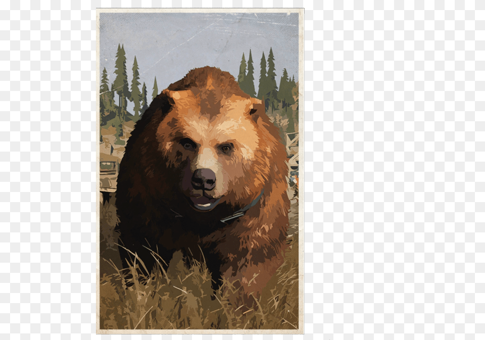 Kodiak Bear, Animal, Lion, Mammal, Wildlife Free Png