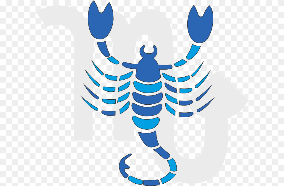 Kogda Klej Podsohnet Otdelite Zagotovku Ot Shablona Zodiac Sign Scorpio India, Food, Seafood, Animal, Sea Life Png