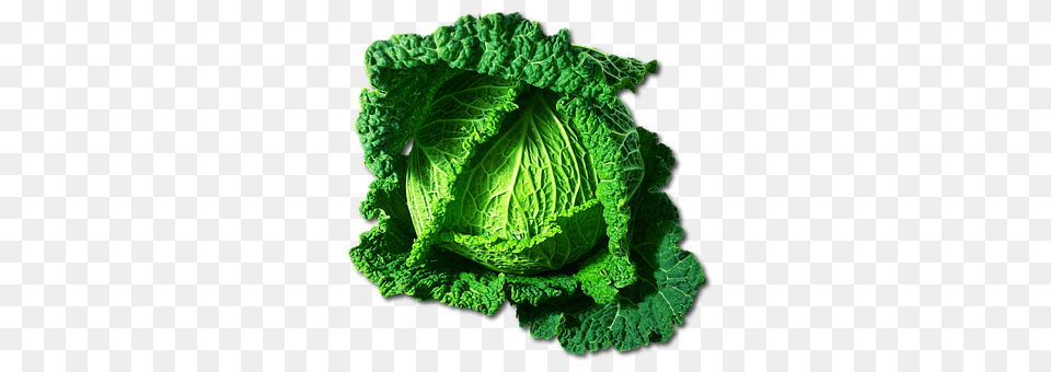 Kohl Food, Leafy Green Vegetable, Plant, Produce Png