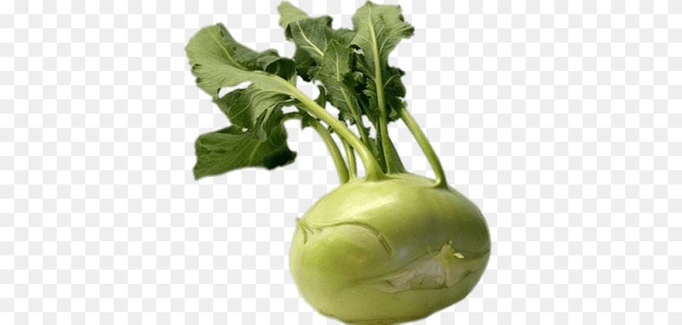 Kohlrabi, Food, Produce, Plant, Vegetable Free Png Download