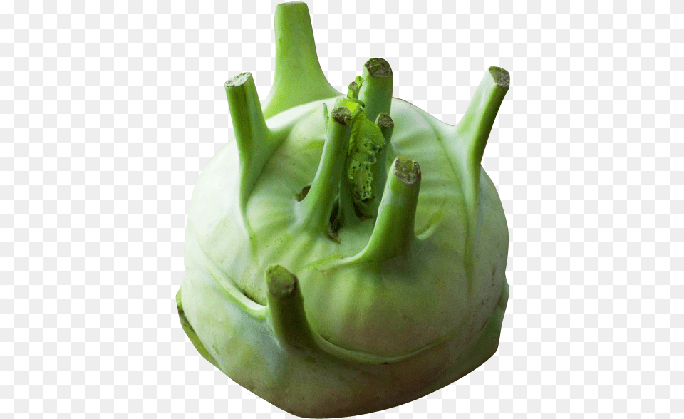 Kohlrabi Image For Download Vegetable, Food, Produce, Plant, Banana Free Transparent Png