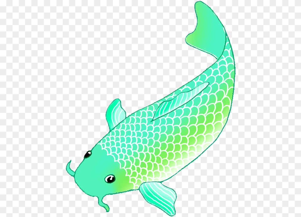 Koi Carp Clipart Transparent Koi Fish Gif, Animal, Sea Life, Shark, Aquatic Png