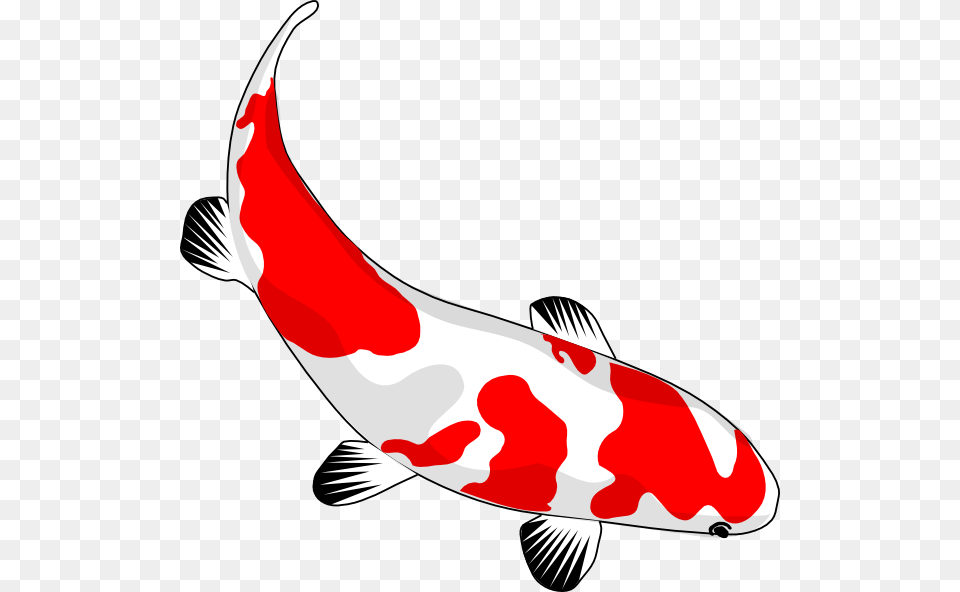 Koi Clipart Cartoon, Animal, Carp, Fish, Sea Life Free Transparent Png