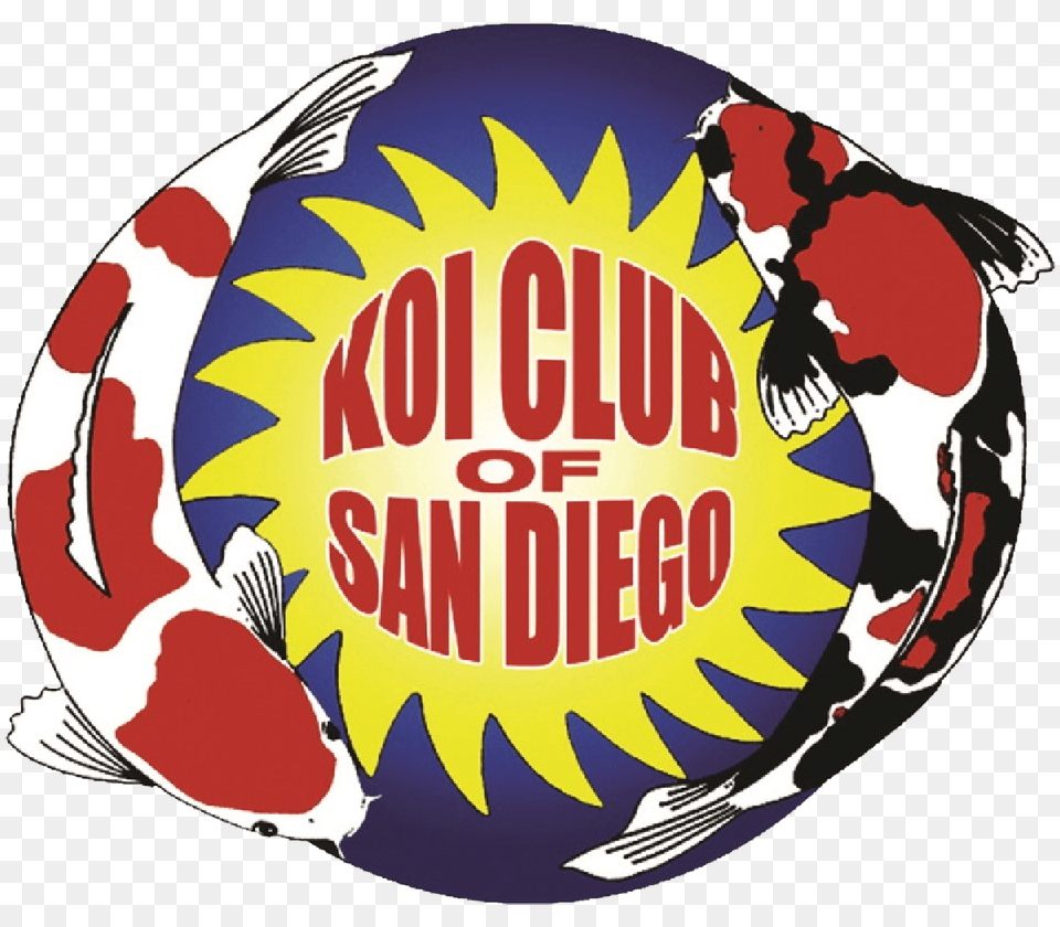 Koi Club Of San Diego, Animal, Carp, Fish, Logo Png