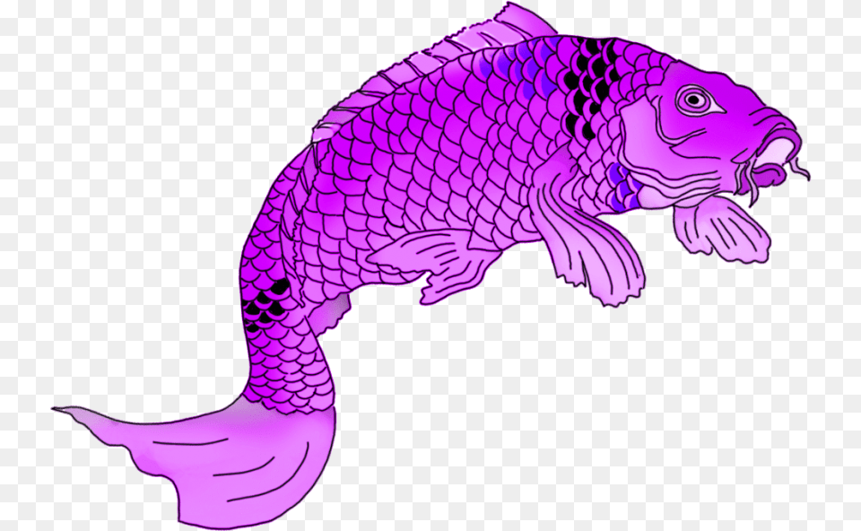Koi Fish, Purple, Aquatic, Water, Baby Free Transparent Png