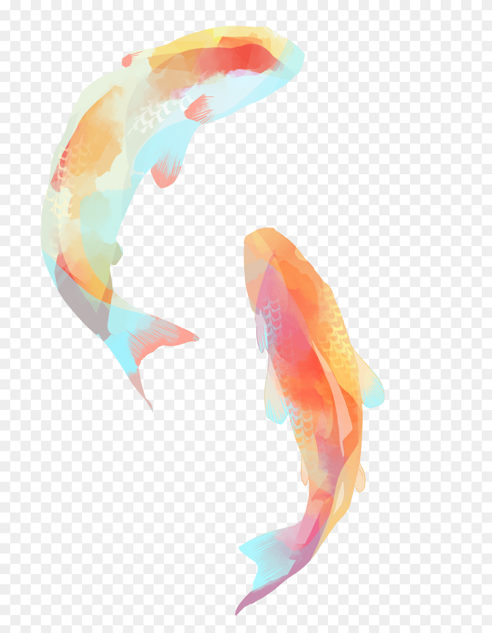 Koi Fish Art Illustration Art Watercolor And Koi, Animal, Sea Life, Carp, Shark Free Png