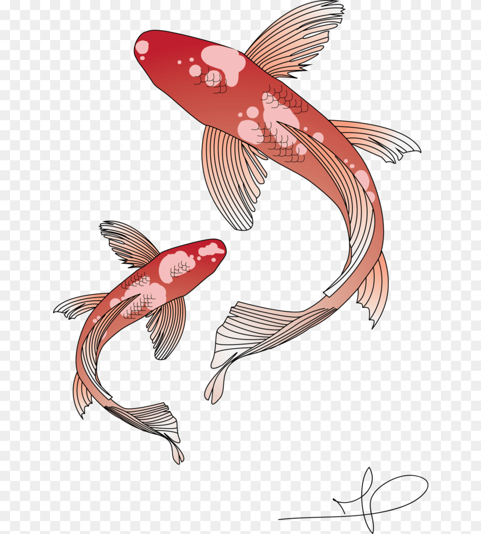 Koi Fish By Azanaya D9c3zgk Koi Vector Transparent, Animal, Sea Life, Carp Png