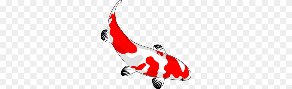 Koi Fish Clipart, Animal, Carp, Sea Life, Food Free Png