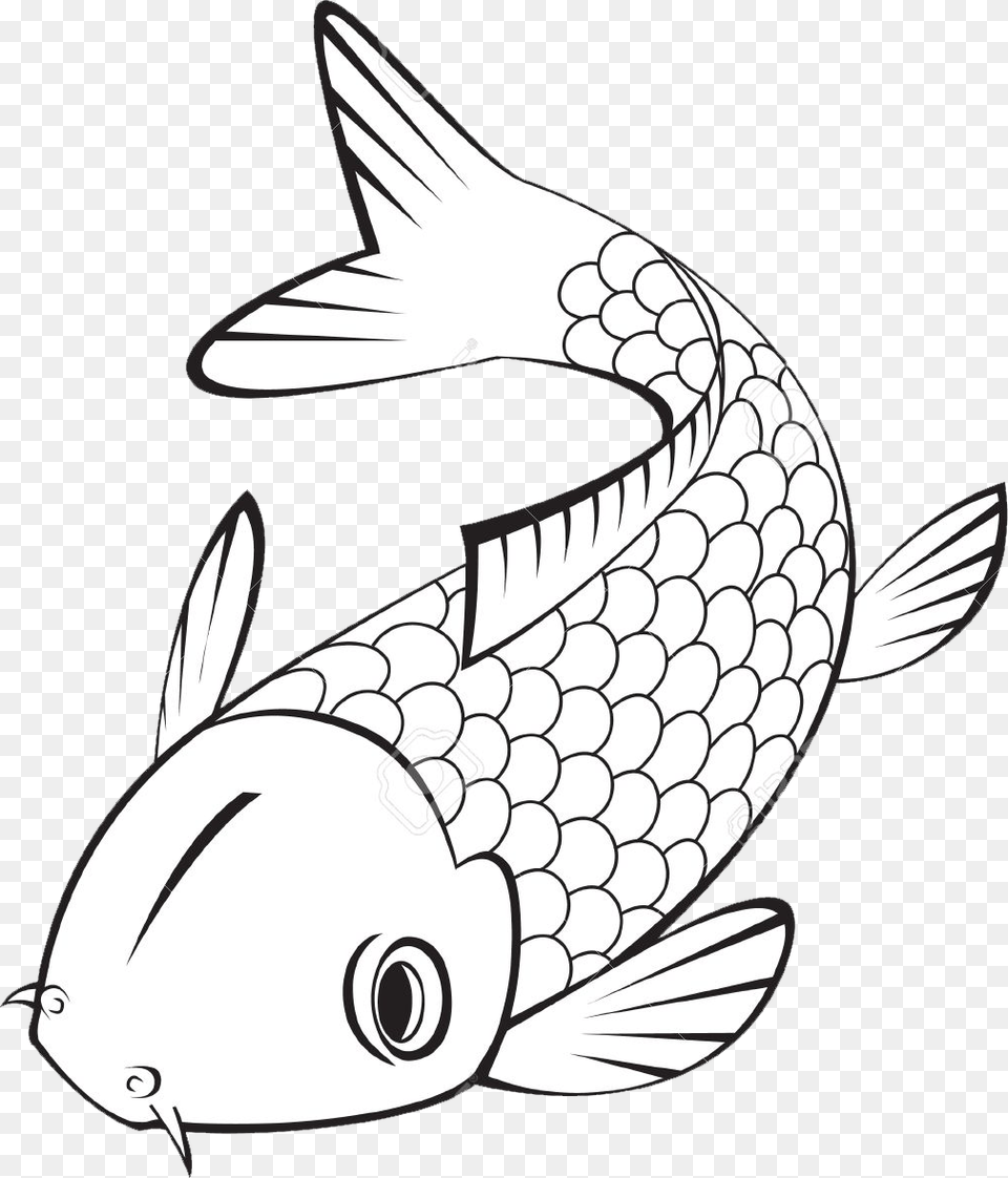 Koi Fish Clipart Black And White Fish Art, Animal, Sea Life, Shark, Drawing Png