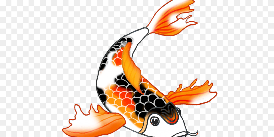 Koi Fish Clipart Draw In Color, Animal, Carp, Sea Life Png