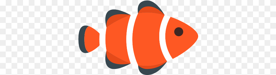 Koi Fish Icon, Animal, Sea Life Png