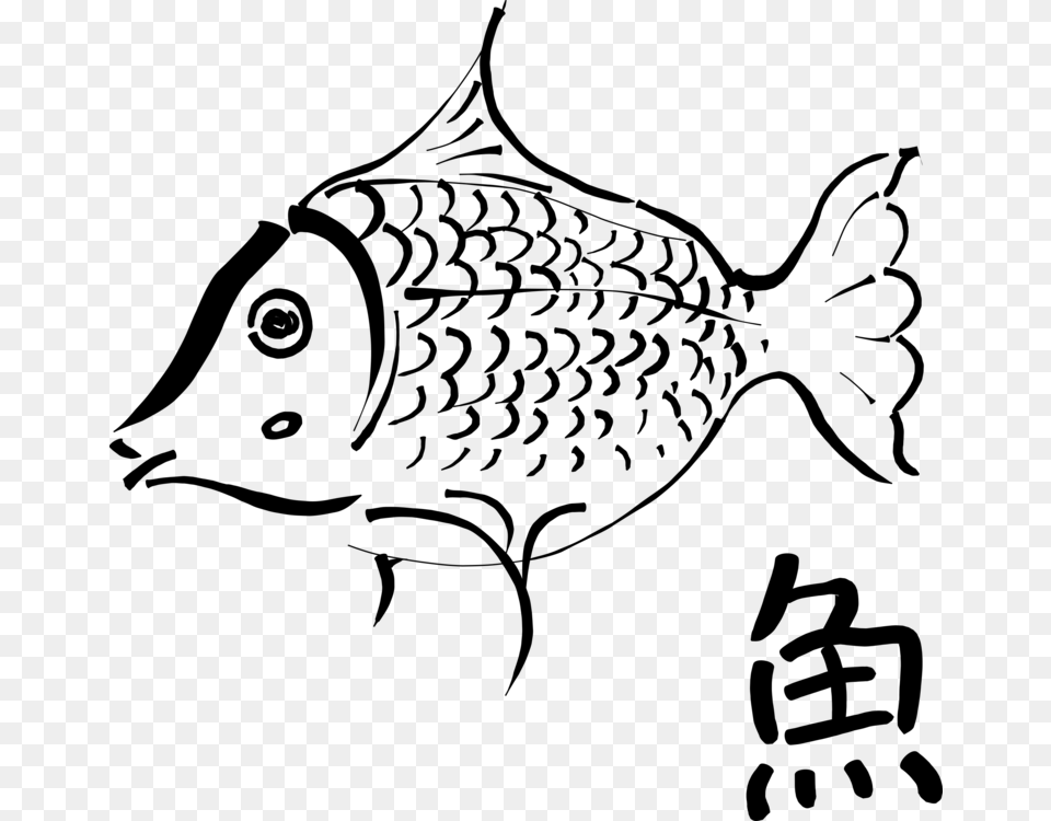 Koi Fish Scale Drawing Food Outline Of A Fish, Gray Free Png