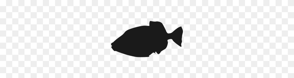 Koi Fish Silhouette, Animal, Sea Life, Shark, Weapon Png