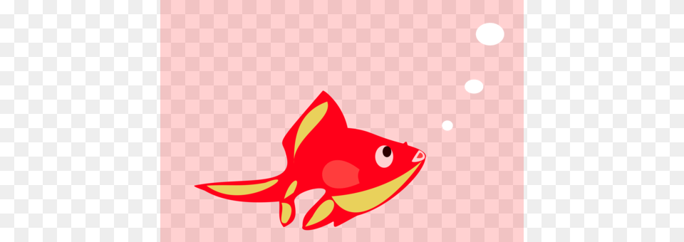 Koi Pond Goldfish Carp, Animal, Sea Life, Fish Free Png Download