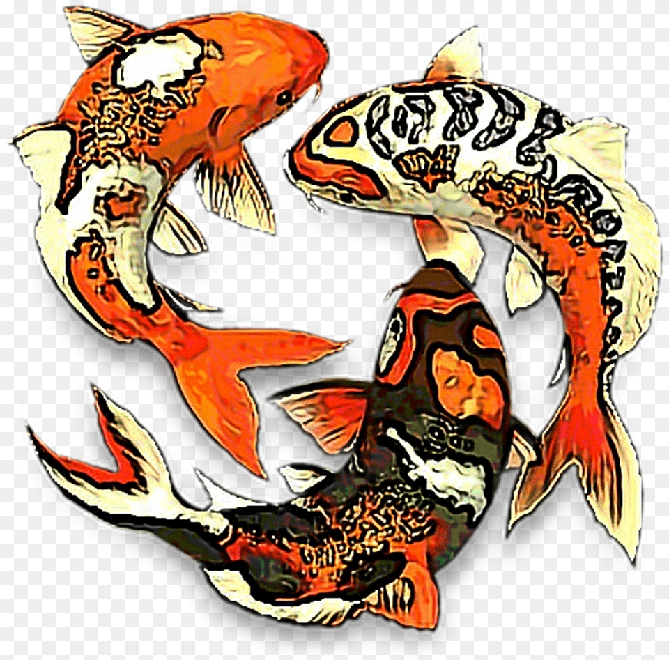 Koifish Aesthetic Koi Fish Fishes Fishbowl Water Fishes, Animal, Sea Life, Person, Carp Free Png