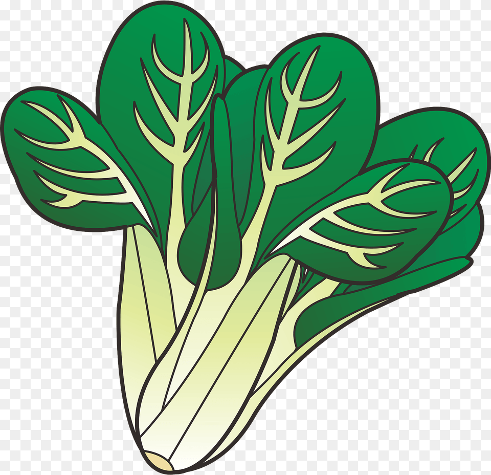 Komatsuna Leafy Greens Clipart, Food, Leafy Green Vegetable, Plant, Produce Png Image