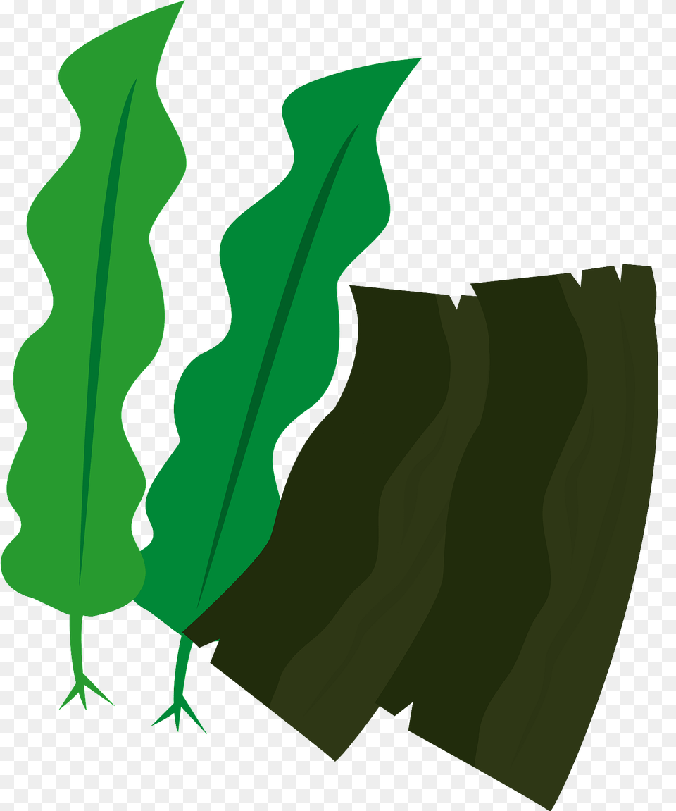 Kombu Seaweed Clipart, Green, Leaf, Plant, Vegetation Png Image