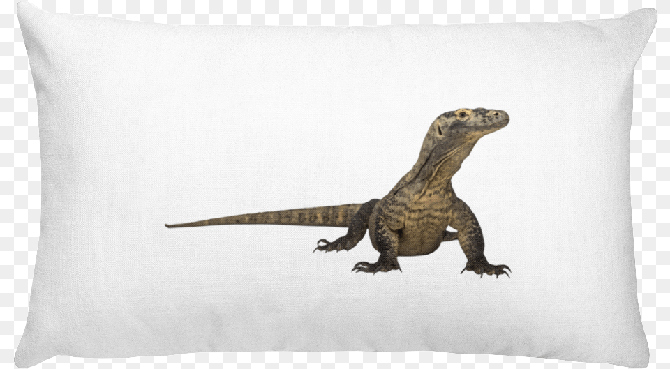 Komodo Cushion, Animal, Lizard, Reptile, Electronics Free Png Download