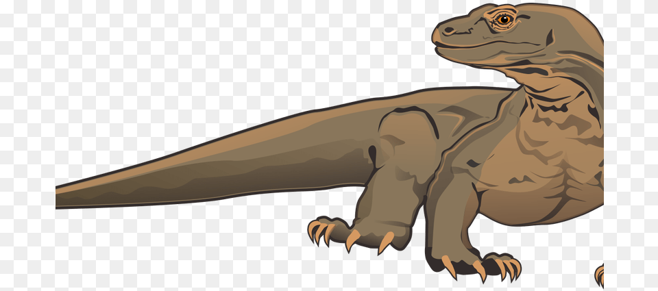 Komodo Dragon Clipart White Background Realistic Komodo Dragon Cartoon, Animal, Dinosaur, Reptile, Fish Free Png
