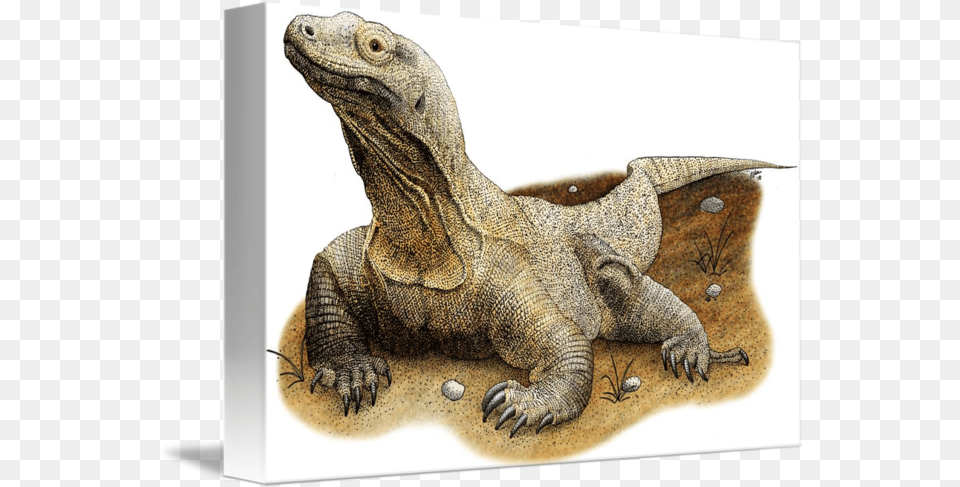 Komodo Dragon Komodo Dragon Art, Animal, Lizard, Reptile, Electronics Png Image