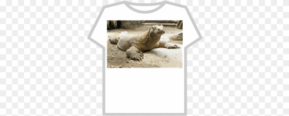 Komodo Dragon Roblox Leave Britney Alone Shirt, Clothing, T-shirt, Animal, Bear Free Png Download