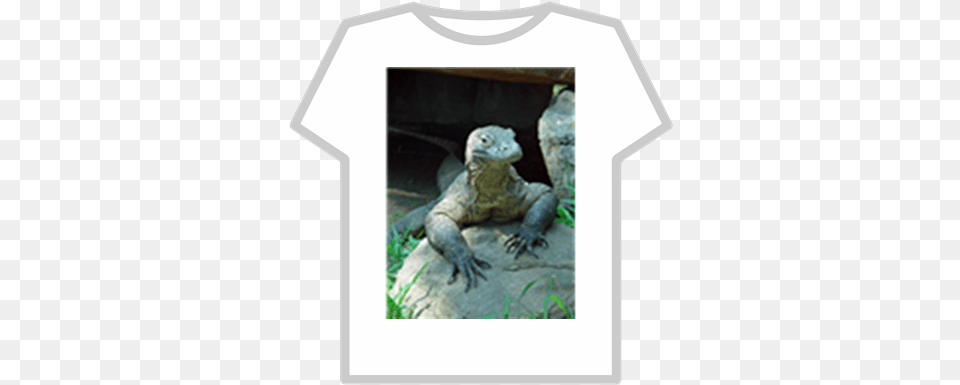 Komodo Dragon Roblox Man Behind The Slaughter Roblox, Animal, Lizard, Reptile Png Image