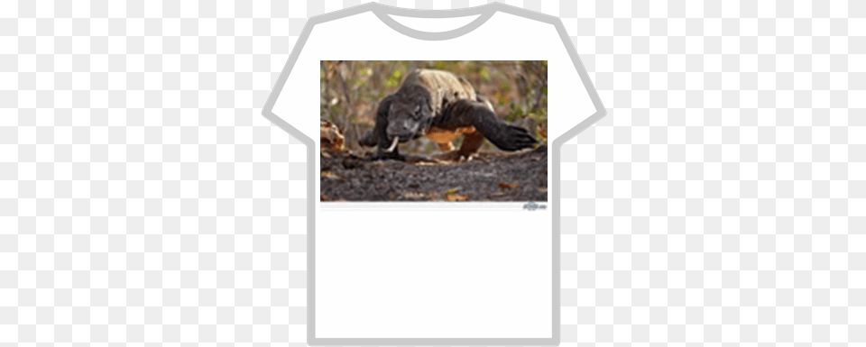 Komodo Dragon Roblox Sasuke T Shirt Roblox, Clothing, T-shirt, Animal, Bird Png Image
