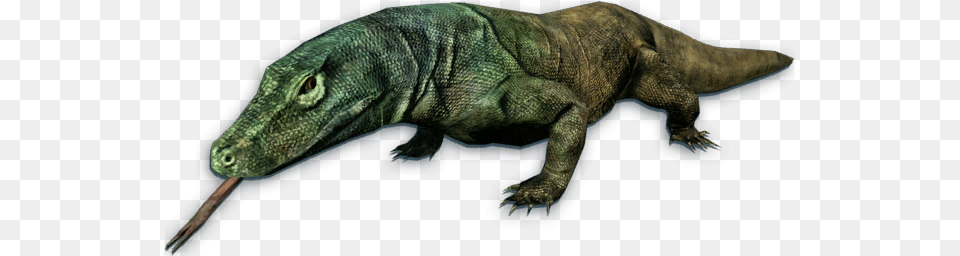 Komodo Dragon Images 14 Far Cry 3 Komodo Dragon, Animal, Lizard, Reptile, Dinosaur Free Transparent Png