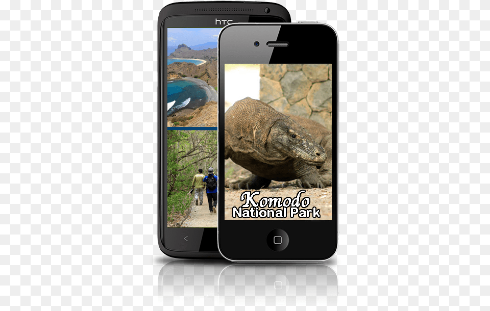 Komodo Which Has Three Meters Length And 90 Kg Weight Ipod Touch And Iphone, Electronics, Phone, Mobile Phone, Animal Free Png