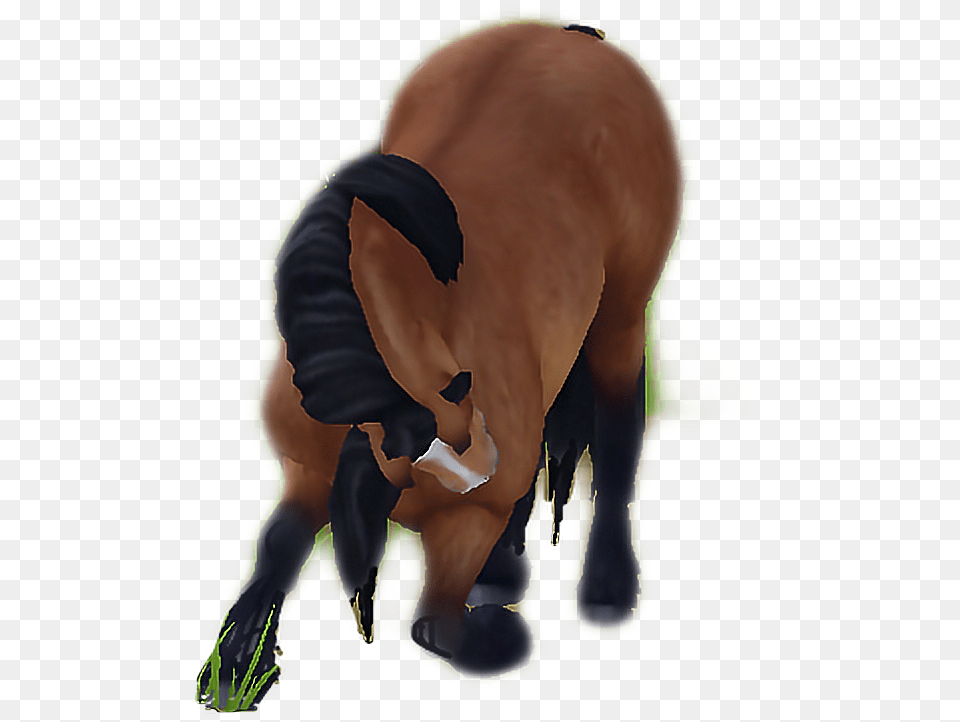 Kompliment Figur Figure Sso Pony Norvik Emoji Mustang Horse, Animal, Buffalo, Mammal, Wildlife Png