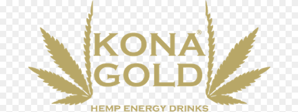 Kona Gold Energy Drink, Plant, Weed, Leaf, Hemp Free Png