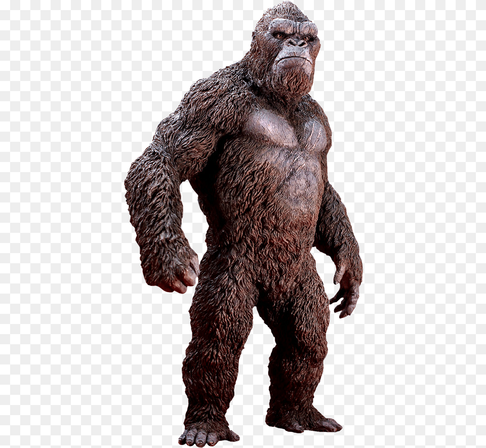 Kong Skull Island Godzilla Vs Kong Size, Animal, Bear, Mammal, Wildlife Free Png