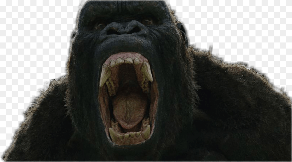 Kong Skull Island Gorilla, Animal, Ape, Mammal, Wildlife Free Png Download