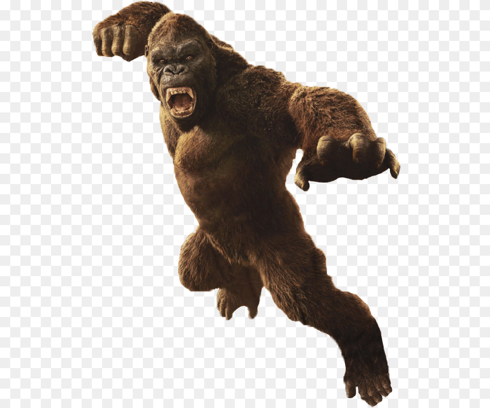 Kong Skull Island Kong, Animal, Ape, Mammal, Monkey Png Image