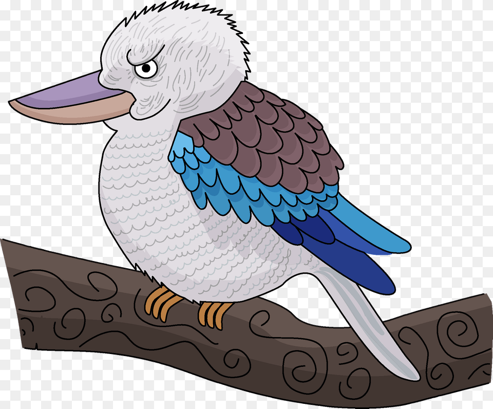 Kookaburra Clipart, Animal, Beak, Bird, Jay Png Image