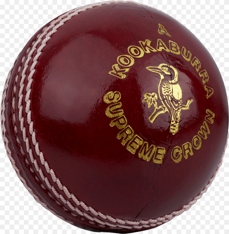 Kookaburra Cricket Ball, Cricket Ball, Sport, Animal, Bird Png Image