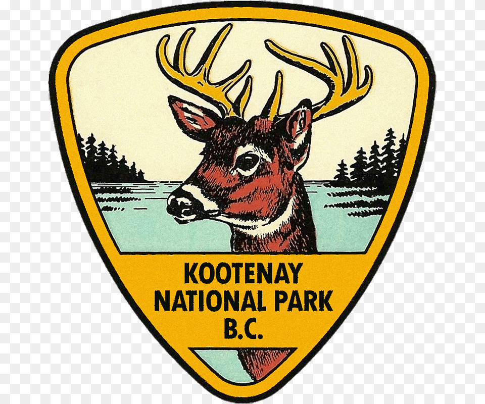 Kootenay National Park Drawing, Animal, Deer, Mammal, Wildlife Png Image