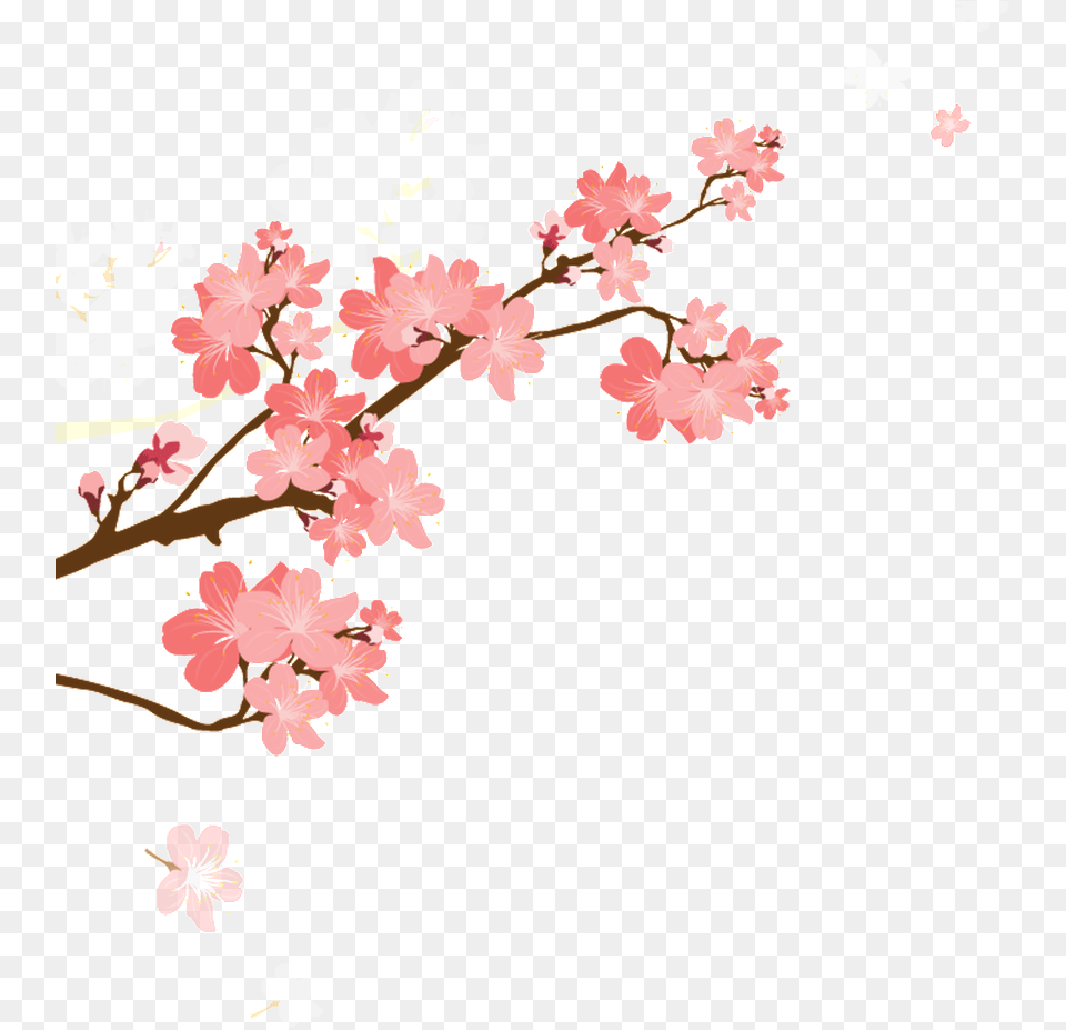 Korean Style Cherry Blossom Cartoon Cherry Blossom Cartoon, Flower, Plant, Cherry Blossom Free Png